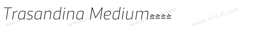 Trasandina Medium字体转换
